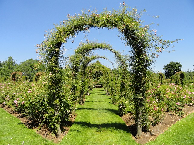 Pergola má mnoho podob